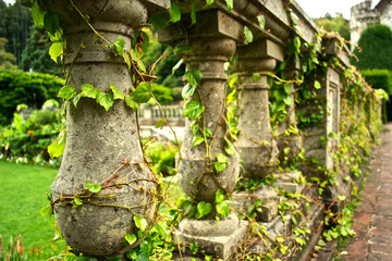 Green garden columns 