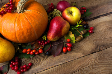 Rustic cornucopia concept with three pumpkins, copy space