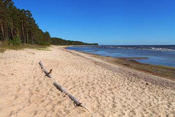 View to the Baltic sea.