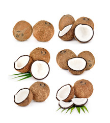 coconut isolated on the white background .