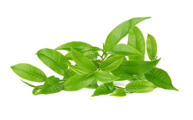 Green tea leaf isolated on white background