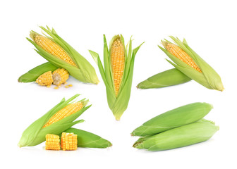 corn isolated on white background.