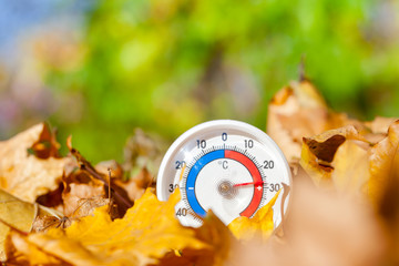 Outdoor thermometer in golden maple leaves shows warm temperature - hot indian summer concept