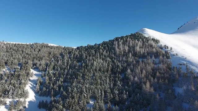 Flying over snowy woods on a the side of a mountain, discovering a valley. France sunny day, drone view.