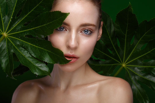Beautiful fresh girl with perfect skin, natural make-up and green leaves. Beauty face. Photo taken in the studio.