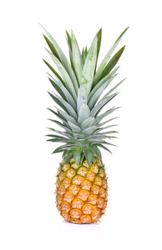  ripe  pineapple on white background