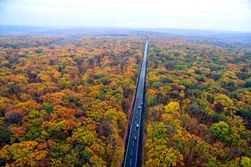 Obraz premium cars driving on the asphalt road through the autumn forest. Drone photography. top view 
