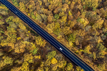 cars driving on the road through the autumn forest. Drone photography. Road seen from the air. Aerial view landscape.