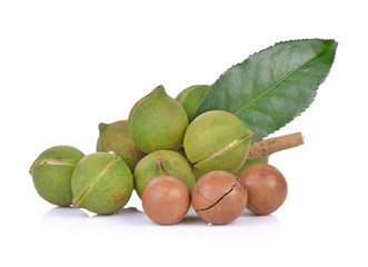 macadamia nuts on white background