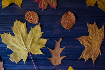 Naklejka na ściany i meble Autumn leaves on a blue wooden background. Bright natural pattern.
