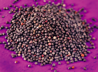 DARK MUSTARD SEEDS