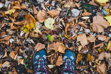 Human feet on the Autumn leaves