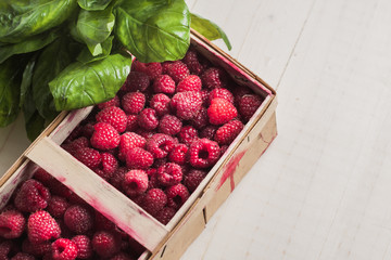 Close-up of ripe juicy berry raspberries in a wooden box on the background of boards with basil -...