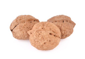Dry Walnut isolated on a white background.