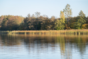 Fototapeta na wymiar Lake and autumn