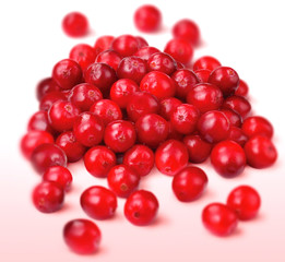 CRANBERRIES
