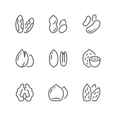 Set line icons of nuts