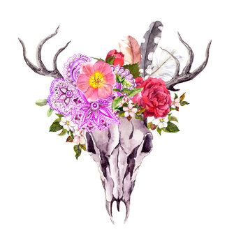 Deer animal skull with flowers, ornate ethnic design, feathers. Watercolor in vintage style