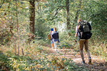 Obraz premium Backshot of Group of friends having a walk with nordic sticks on hike in the forest