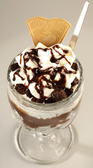 ICE CREAM AND CHOCOLATE SAUCE