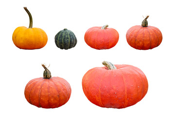 Set Of Different Pumpkins - Isolated On White Background - Clipping Path Included