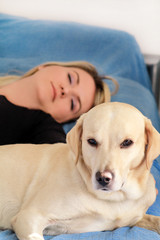 Woman with cute dogs at home. Handsome girl resting and sleeping with her dog in bed in bedroom. Owner and dog sleeping in sofa. Yellow labrador retriever relax. Portrait of woman and her best friend.