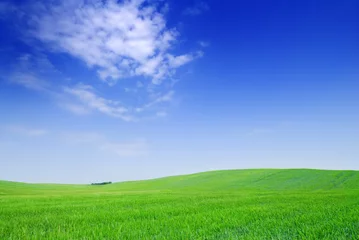 Fotobehang Idyll, view of green fields and blue sky with white clouds © Trutta