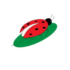 Ladybird on leaf. Illustration ladybug on white background. Cute colorful sign insect symbol spring, summer, garden. Template for t shirt, apparel, card. Design element. Vector illustration.