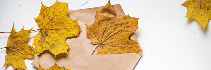 Banner for website, autumn leaves on white
