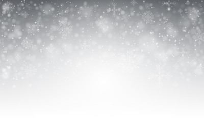 Winter country. Snowfall, snowstorm and snowflakes. Vector holiday illustration.