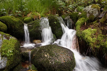 Fototapeta na wymiar Cascada de agua pura en Muniellos