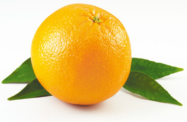 SINGLE ORANGE AND LEAVES