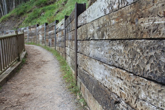 camino 2