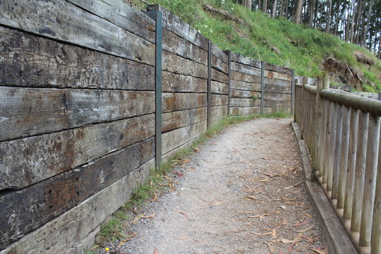 camino 1