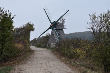 Die Mühle Charlotte in der Geltinger Birk