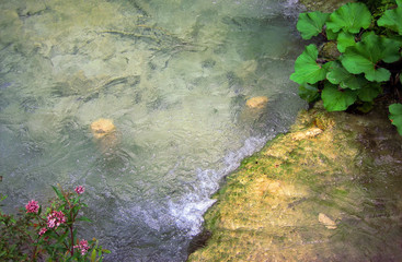 Nature green and colore