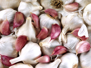 GARLIC