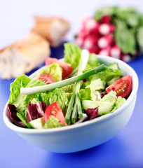 MIXED GREEN SALAD