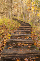 Fototapeta na wymiar Step Hiking Trail In Autumn Woods