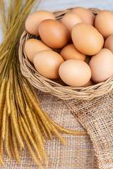 Eggs in basket