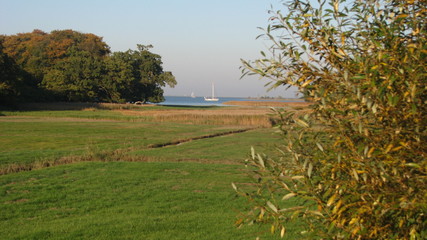 blick über das wasser in den park