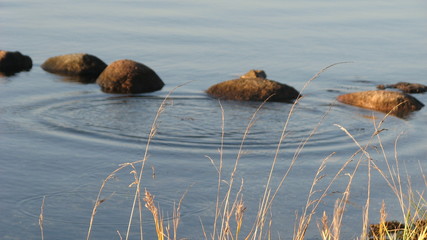 blick über das wasser in den park