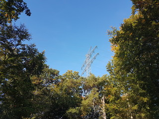 weg durch den wald im herbst