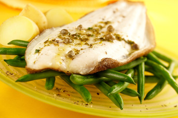 LEMON SOLE