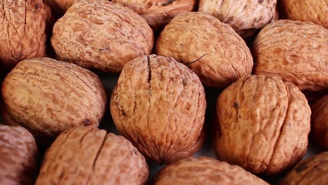Walnut walnuts with shell