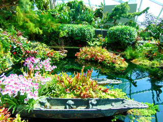 A vibrant inside of the Flower Dome in Singapore