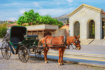 the horse harnessed in the carriage on the street of the small southern town