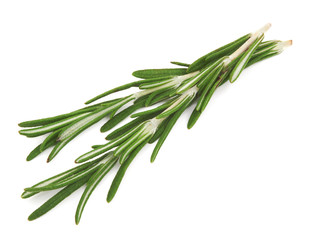 Fototapeta premium Fresh rosemary on white