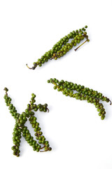 Green pepper with white background