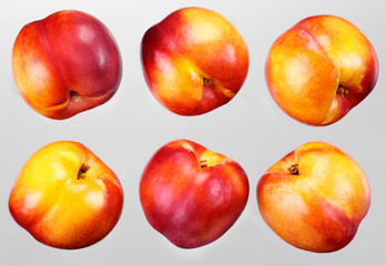 NECTARINES
